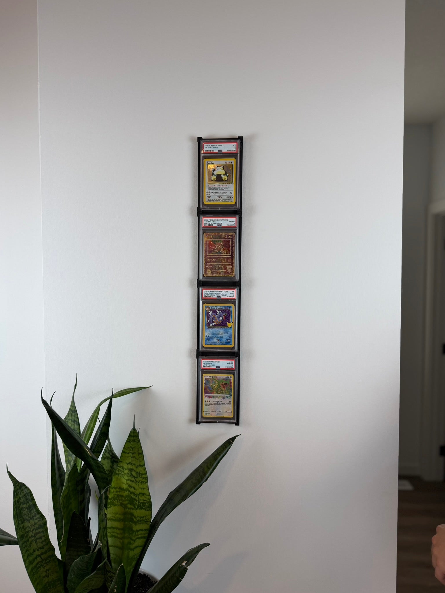 Modular Graded Pokémon Card Wall Display | Snap Together Card Frame System