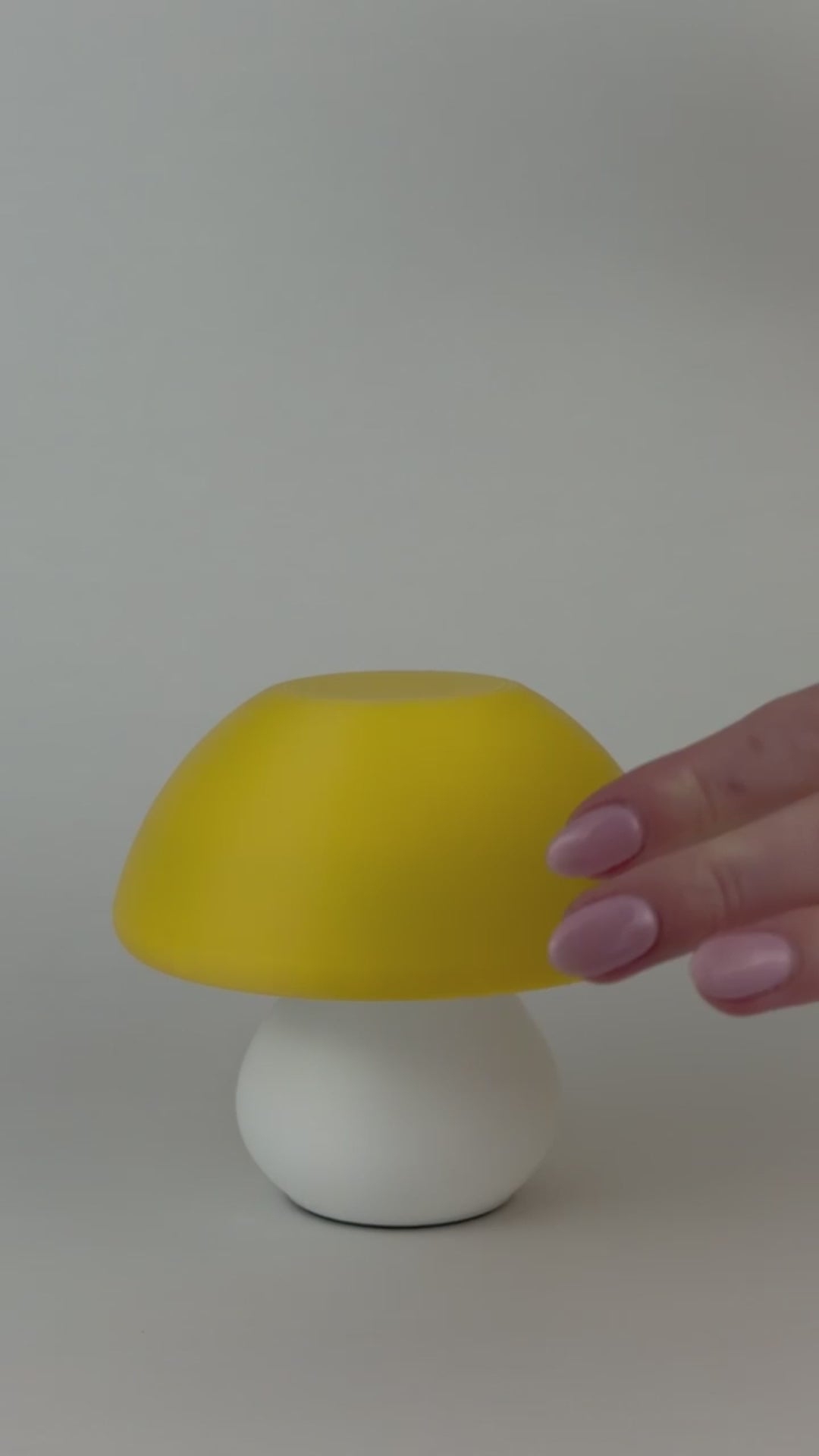 Mushroom Pill Organizer | Weekly AM PM Medication Case